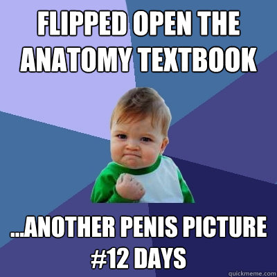 Flipped open the anatomy textbook ...another penis picture 
#12 days  Success Kid