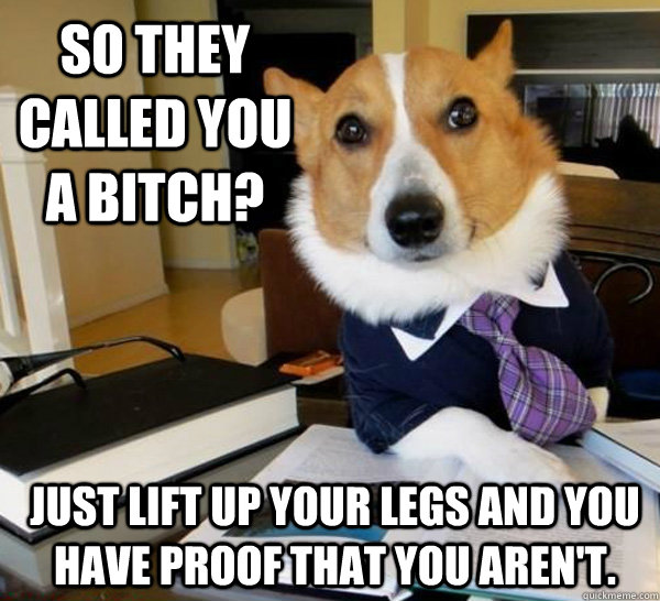 So they called you a bitch? Just lift up your legs and you have proof that you aren't.   Lawyer Dog