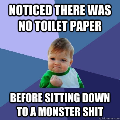 noticed there was no toilet paper before sitting down to a monster shit  Success Kid