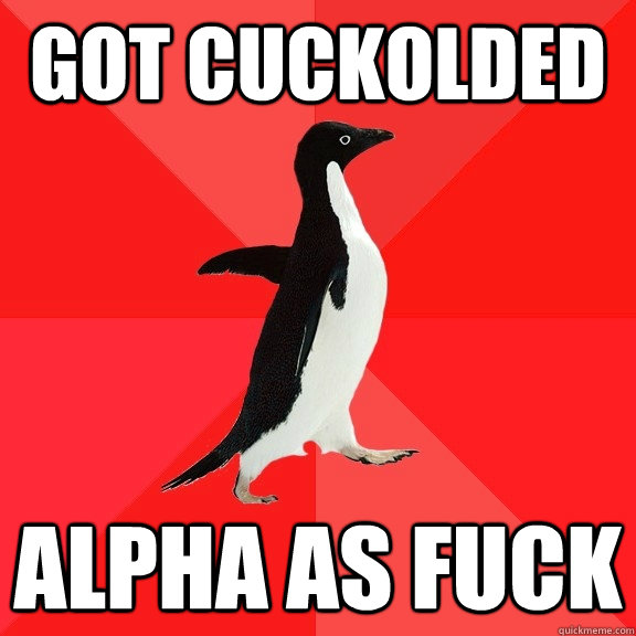 got cuckolded alpha as fuck  Socially Awesome Penguin