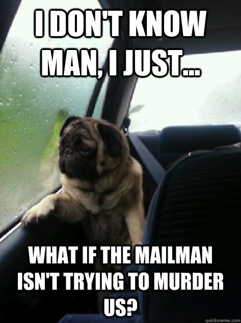 I don't know man, I just... What if the mailman isn't trying to murder us?  Introspective Pug