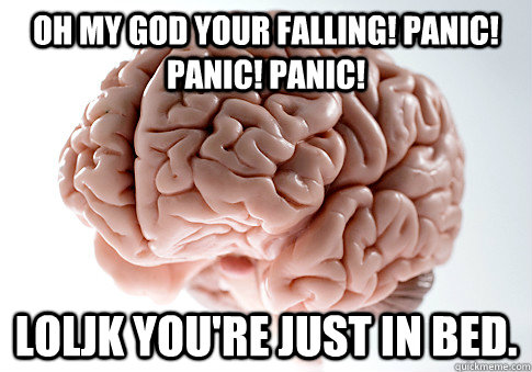 OH MY GOD YOUR FALLING! PANIC! PANIC! PANIC! loljk you're just in bed.  Scumbag Brain