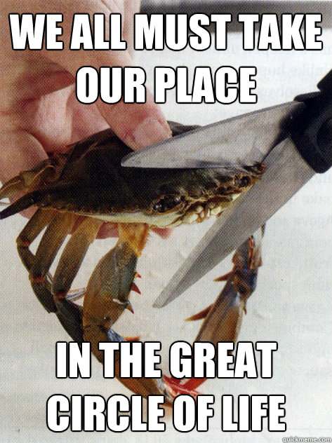 we all must take our place in the great circle of life  Optimistic Crab