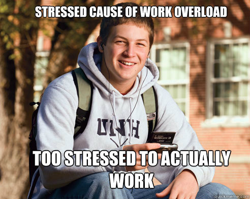 Stressed cause of work overload Too stressed to actually work  College Freshman