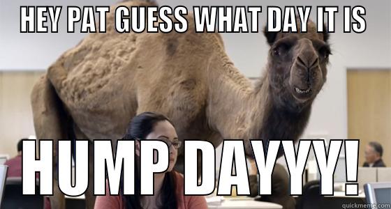 HEY PAT GUESS WHAT DAY IT IS HUMP DAYYY! Misc