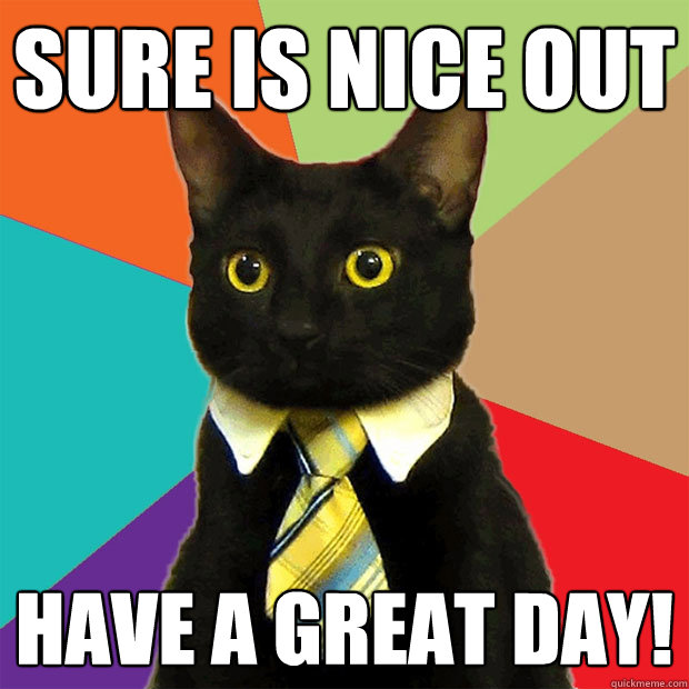 SURE IS NICE OUT HAVE A GREAT DAY!  Business Cat