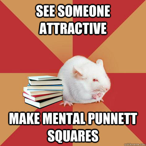 See someone attractive Make mental Punnett Squares  
