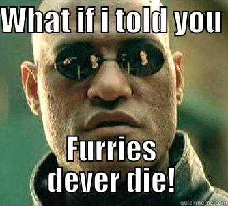 WHAT IF I TOLD YOU  FURRIES DEVER DIE! Matrix Morpheus