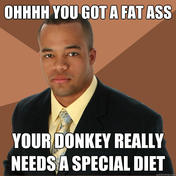 ohhhh you got a fat ass your donkey really needs a special diet - ohhhh you got a fat ass your donkey really needs a special diet  Successful Black Man