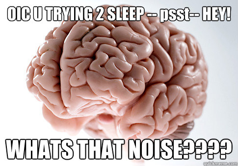 OIC U TRYING 2 SLEEP -- psst-- HEY!  WHATS THAT NOISE????  Scumbag Brain