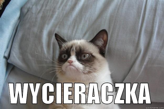  WYCIERACZKA Grumpy Cat