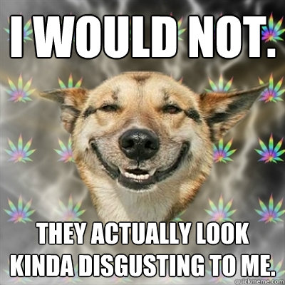 I would not. They actually look kinda disgusting to me.  Stoner Dog