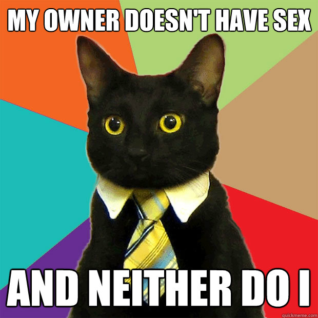 my owner doesn't have sex and neither do i  Business Cat