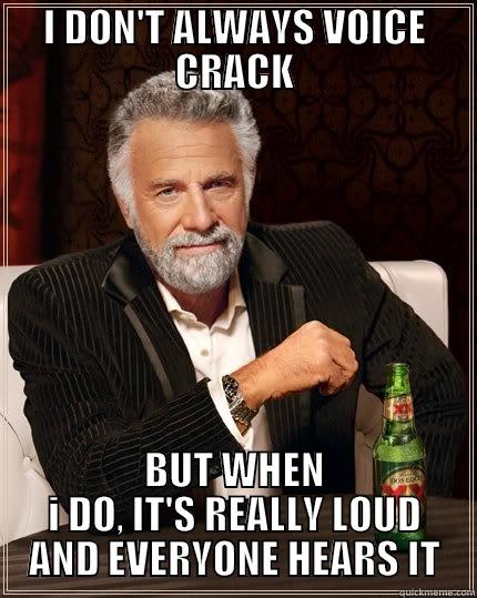 I DON'T ALWAYS VOICE CRACK BUT WHEN I DO, IT'S REALLY LOUD AND EVERYONE HEARS IT The Most Interesting Man In The World