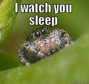 Watching you - I WATCH YOU SLEEP  Misunderstood Spider