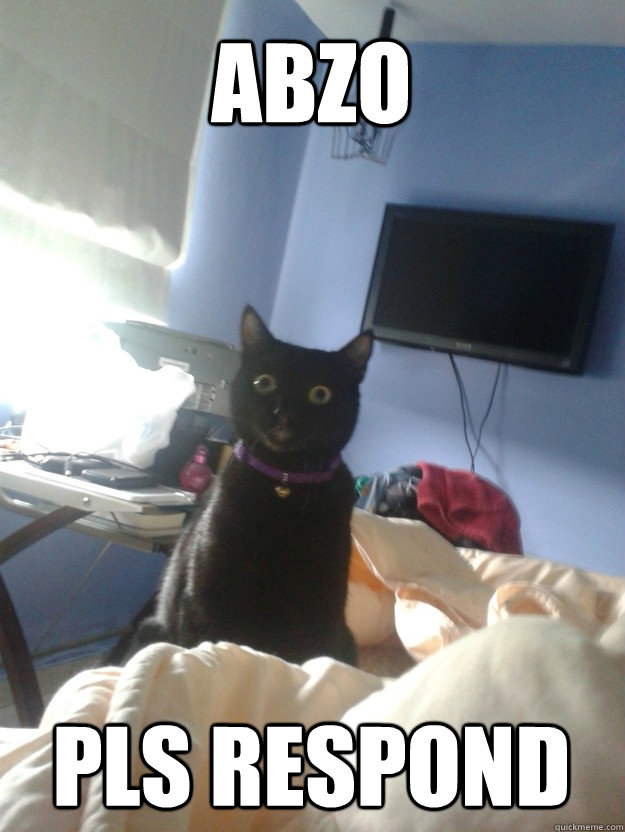 Abzo Pls Respond  overly attached cat