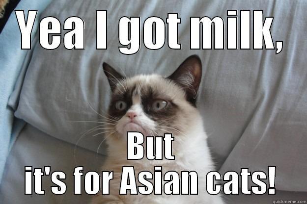 Lactose Intolerant Milk - YEA I GOT MILK, BUT IT'S FOR ASIAN CATS! Grumpy Cat