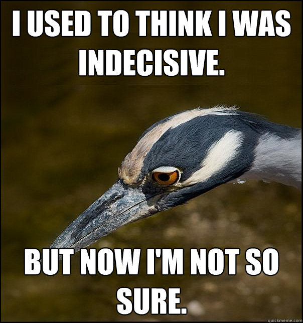 i used to think i was indecisive. but now i'm not so sure.  Sad Realization Heron