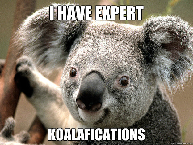 I Have expert Koalafications  Evil Koala Bear