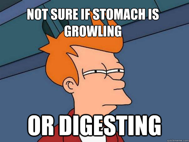 Not sure if stomach is growling Or digesting - Not sure if stomach is growling Or digesting  Futurama Fry