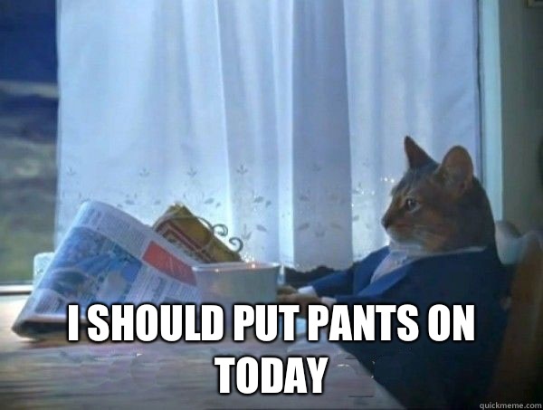  I should put pants on today -  I should put pants on today  morning realization newspaper cat meme