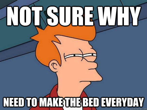 Not sure why need to make the bed everyday  Futurama Fry