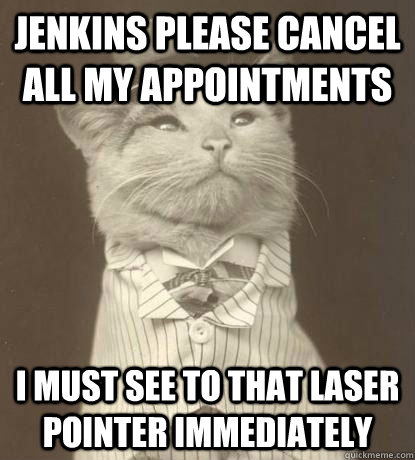 Jenkins please cancel all my appointments I must see to that laser pointer immediately  Aristocat