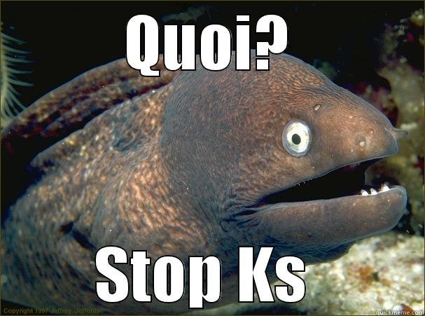 QUOI? STOP KS  Bad Joke Eel