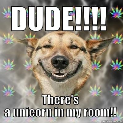 DUDE!!!! THERE'S A UNICORN IN MY ROOM!! Stoner Dog