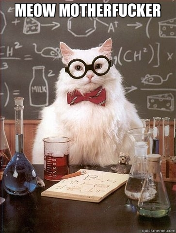 MEOW MOTHERFUCKER   Chemistry Cat