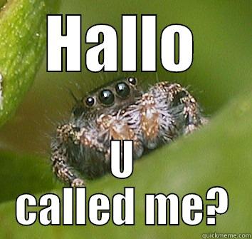 HALLO U CALLED ME? Misunderstood Spider