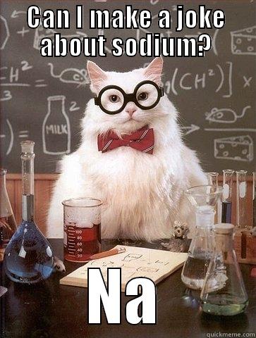 CAN I MAKE A JOKE ABOUT SODIUM? NA Chemistry Cat