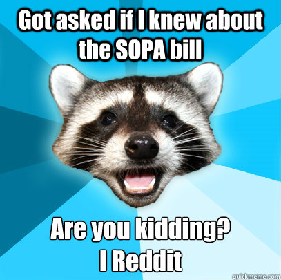 Got asked if I knew about the SOPA bill Are you kidding?
I Reddit  Lame Pun Coon