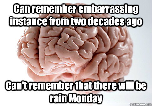 Can remember embarrassing instance from two decades ago Can't remember that there will be rain Monday  Scumbag Brain