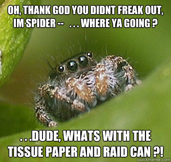 oh, thank god you didnt freak out, im spider --   . . . where ya going ? . . .dude, whats with the tissue paper and raid can ?!  Misunderstood Spider