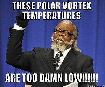 THESE POLAR VORTEX TEMPERATURES ARE TOO DAMN LOW!!!!!! Too Damn High