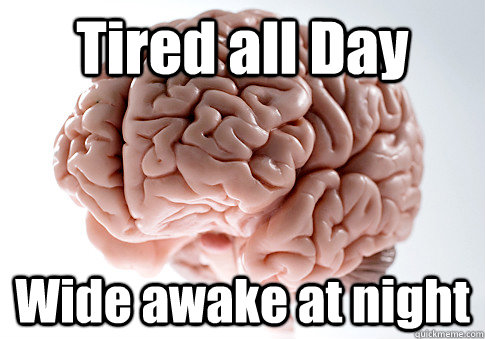 Tired all Day Wide awake at night   Scumbag Brain