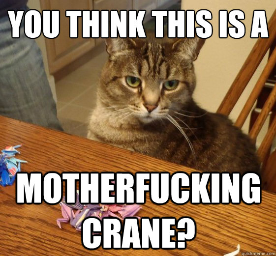 You think this is a motherfucking crane?  quality control cat