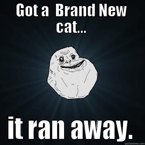 GOT A  BRAND NEW CAT... IT RAN AWAY. Forever Alone