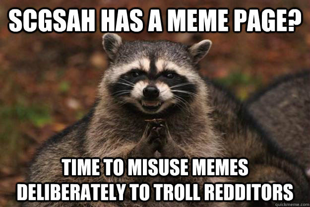 SCGSAH has a meme page? time to misuse memes deliberately to troll redditors - SCGSAH has a meme page? time to misuse memes deliberately to troll redditors  Evil Plotting Raccoon