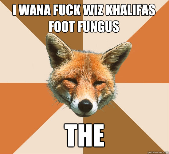 i wana fuck wiz khalifas foot fungus
 the  Condescending Fox