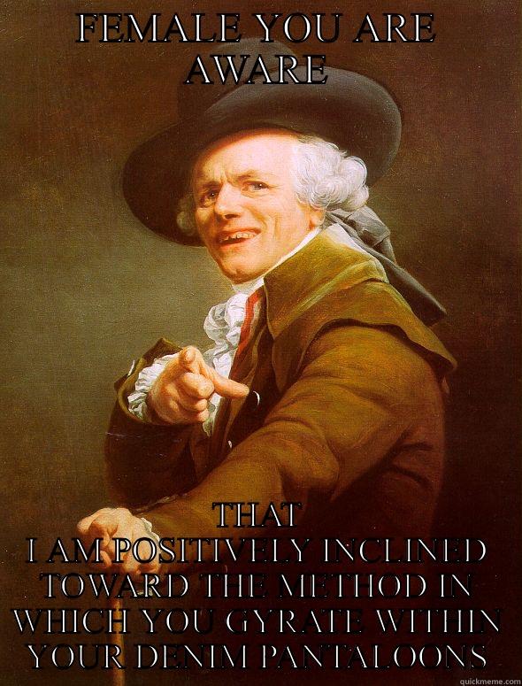 FEMALE YOU ARE AWARE THAT I AM POSITIVELY INCLINED TOWARD THE METHOD IN WHICH YOU GYRATE WITHIN YOUR DENIM PANTALOONS Joseph Ducreux