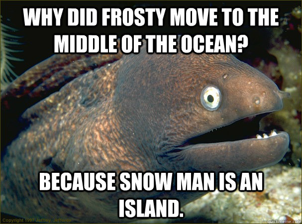 Why did frosty move to the middle of the ocean? Because snow man is an island.  Bad Joke Eel