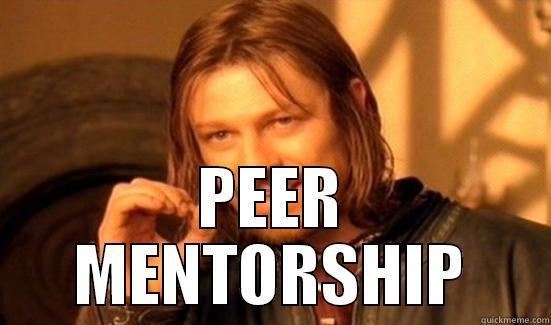  PEER MENTORSHIP Boromir