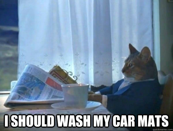  i should wash my car mats -  i should wash my car mats  morning realization newspaper cat meme