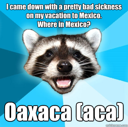 I came down with a pretty bad sickness on my vacation to Mexico.
Where in Mexico? Oaxaca (aca) - I came down with a pretty bad sickness on my vacation to Mexico.
Where in Mexico? Oaxaca (aca)  Lame Pun Coon