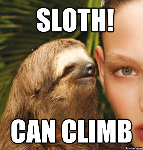 SLOTH! can climb  rape sloth