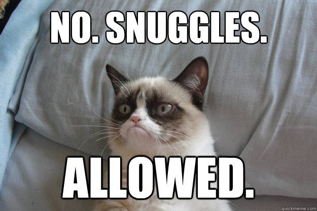 no. snuggles. allowed. - no. snuggles. allowed.  Pillow Grumpy Cat