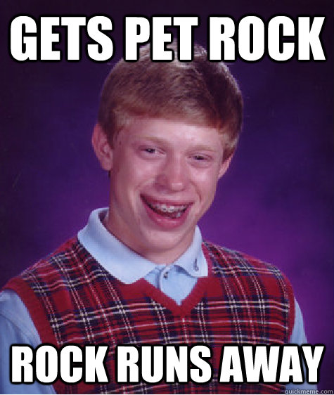 Gets pet rock Rock runs away  Bad Luck Brian