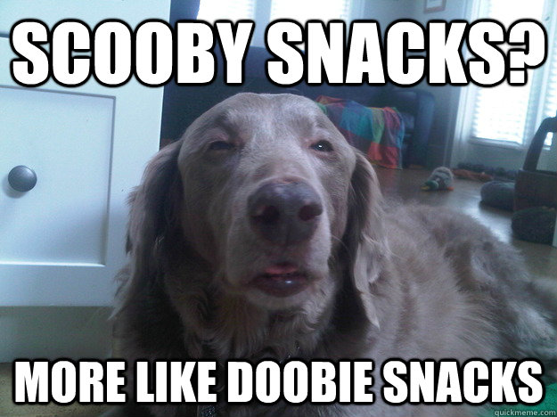 scooby snacks? more like doobie snacks  10 Dog